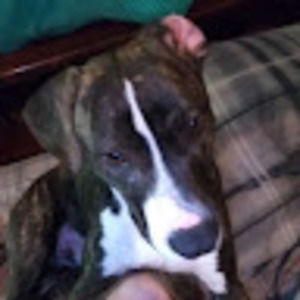 Meet your Posher, Country girl